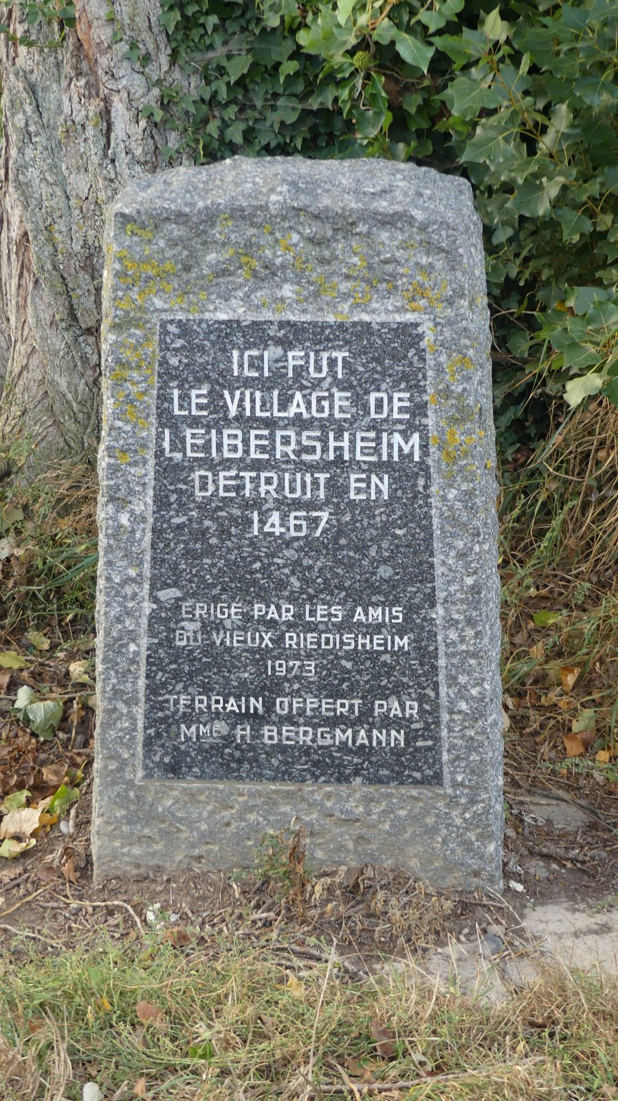 0520 Rixheim Habsheim SSOL 15 10 2023