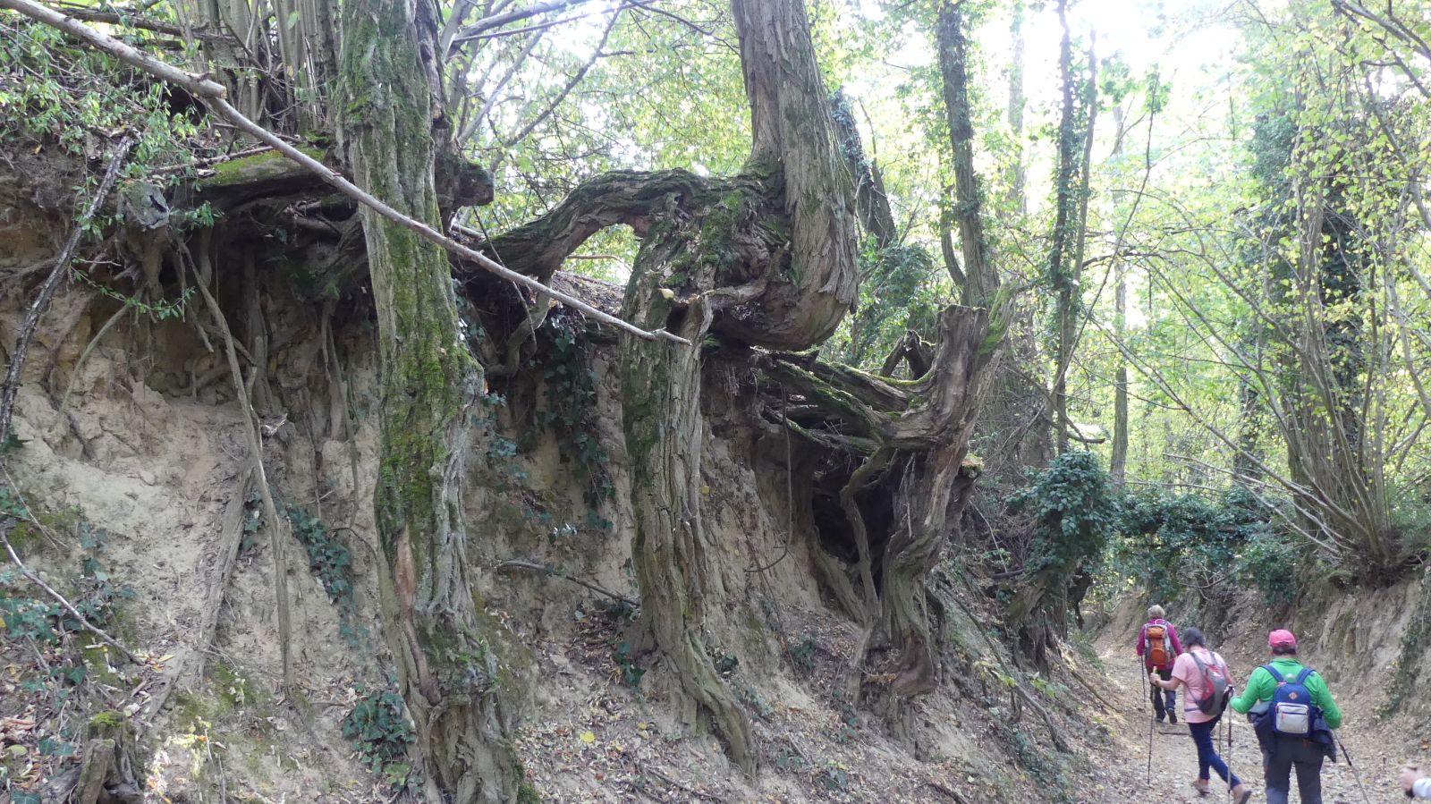 0522 Rixheim Habsheim SSOL 15 10 2023