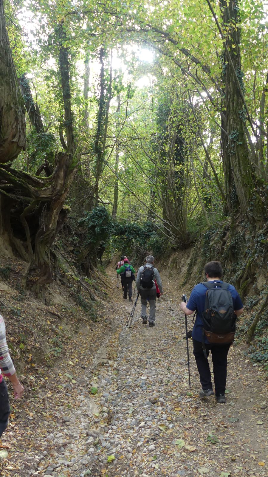 0523 Rixheim Habsheim SSOL 15 10 2023