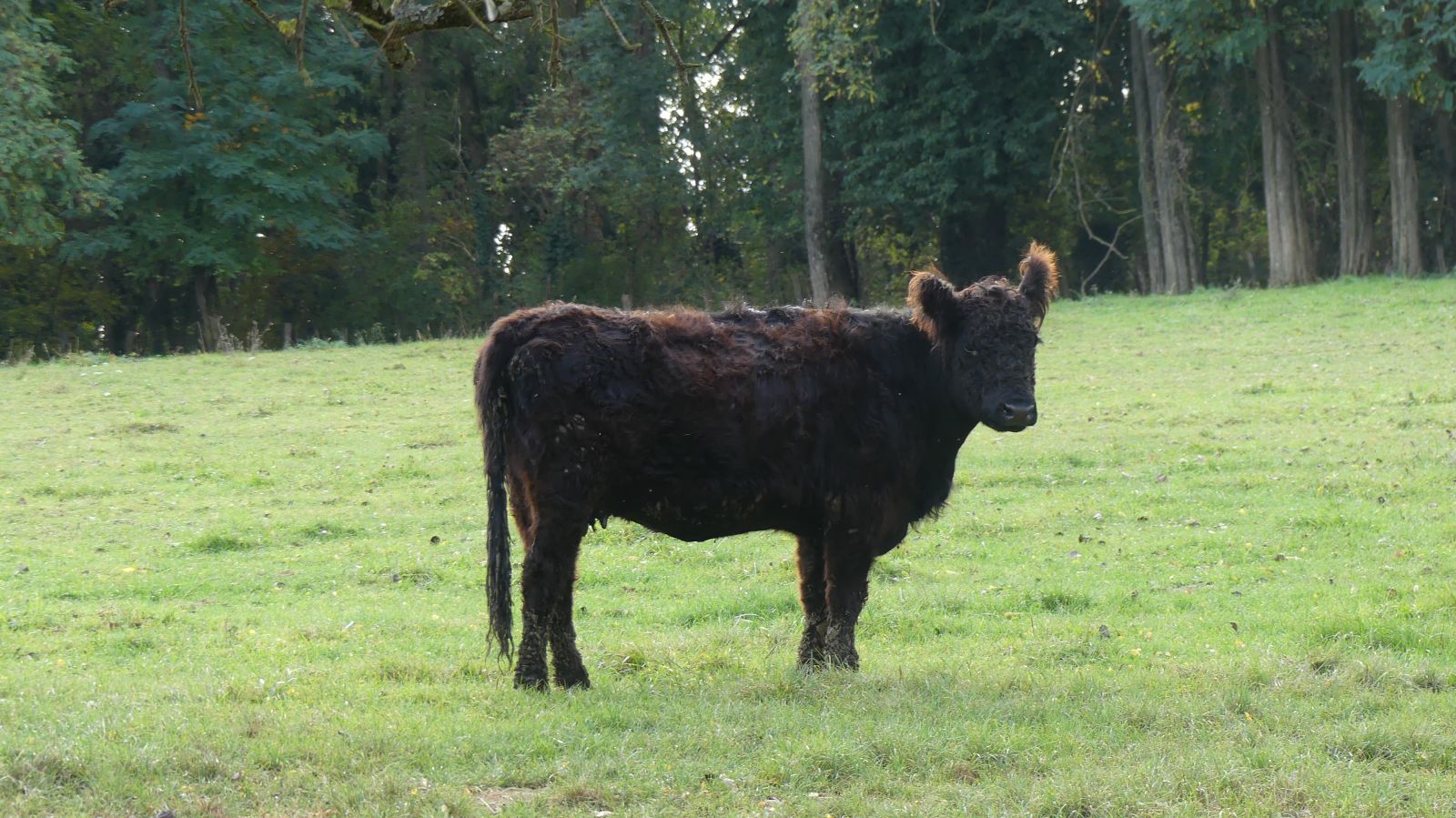 0526 Rixheim Habsheim SSOL 15 10 2023