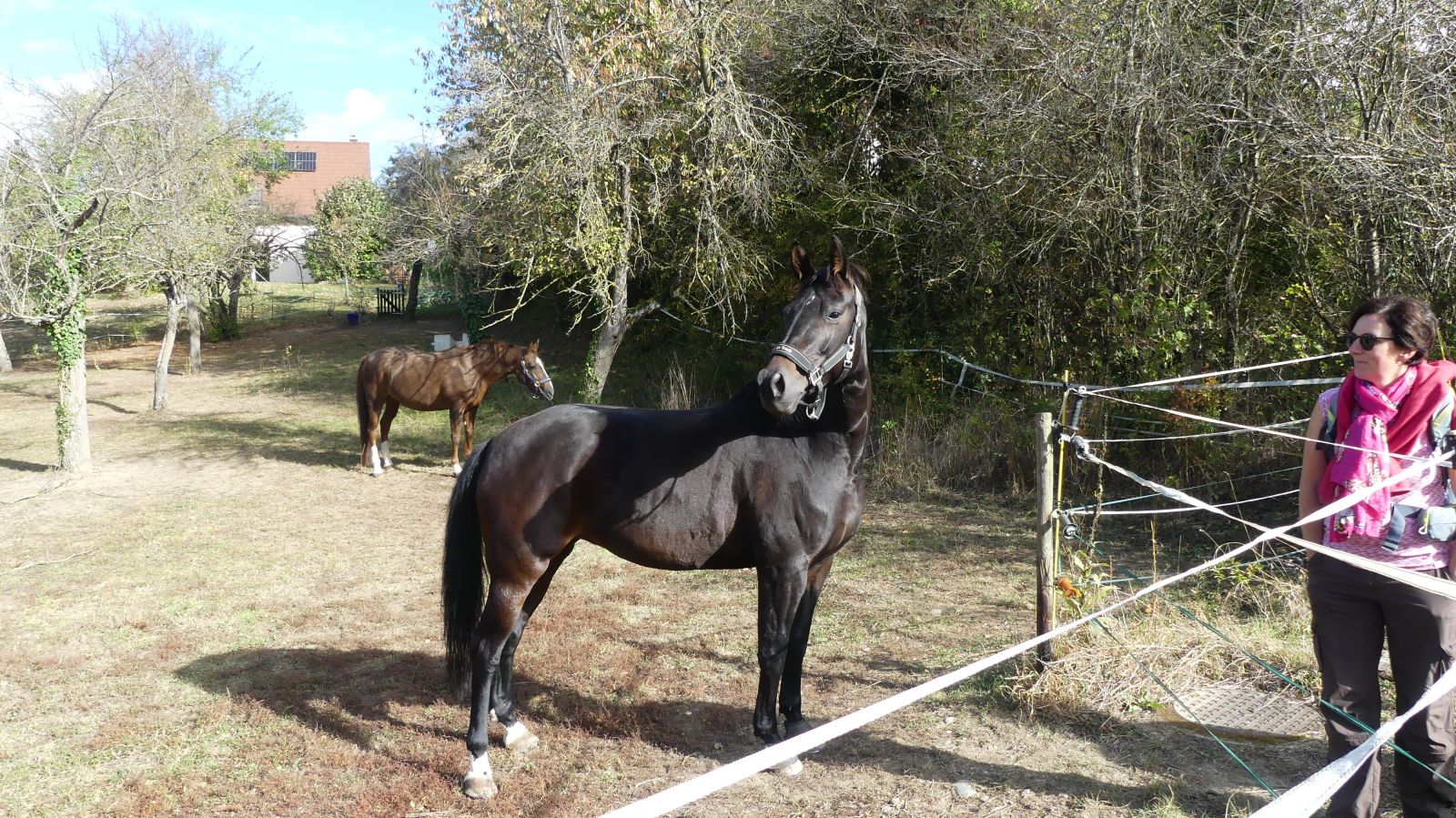 0531 Rixheim Habsheim SSOL 15 10 2023