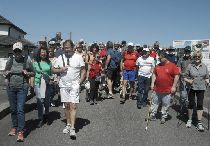 2026 04 25 multimarche