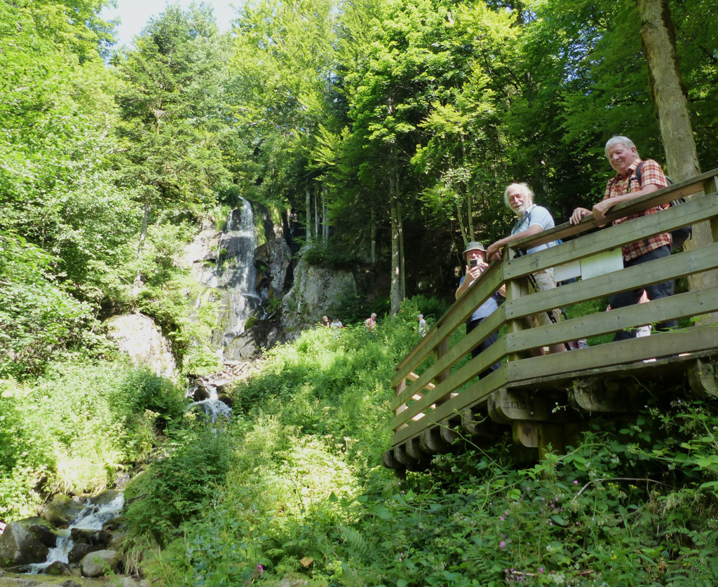 20225 06 25 andlau img6