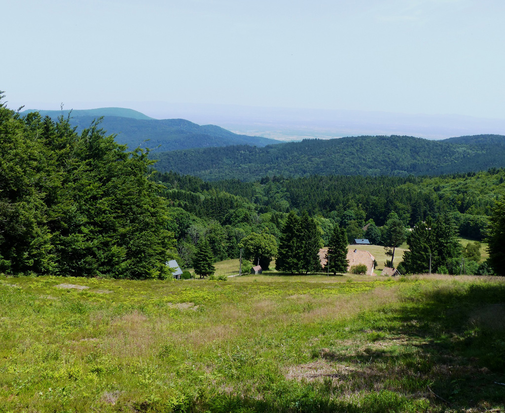 20225 06 25 andlau img7