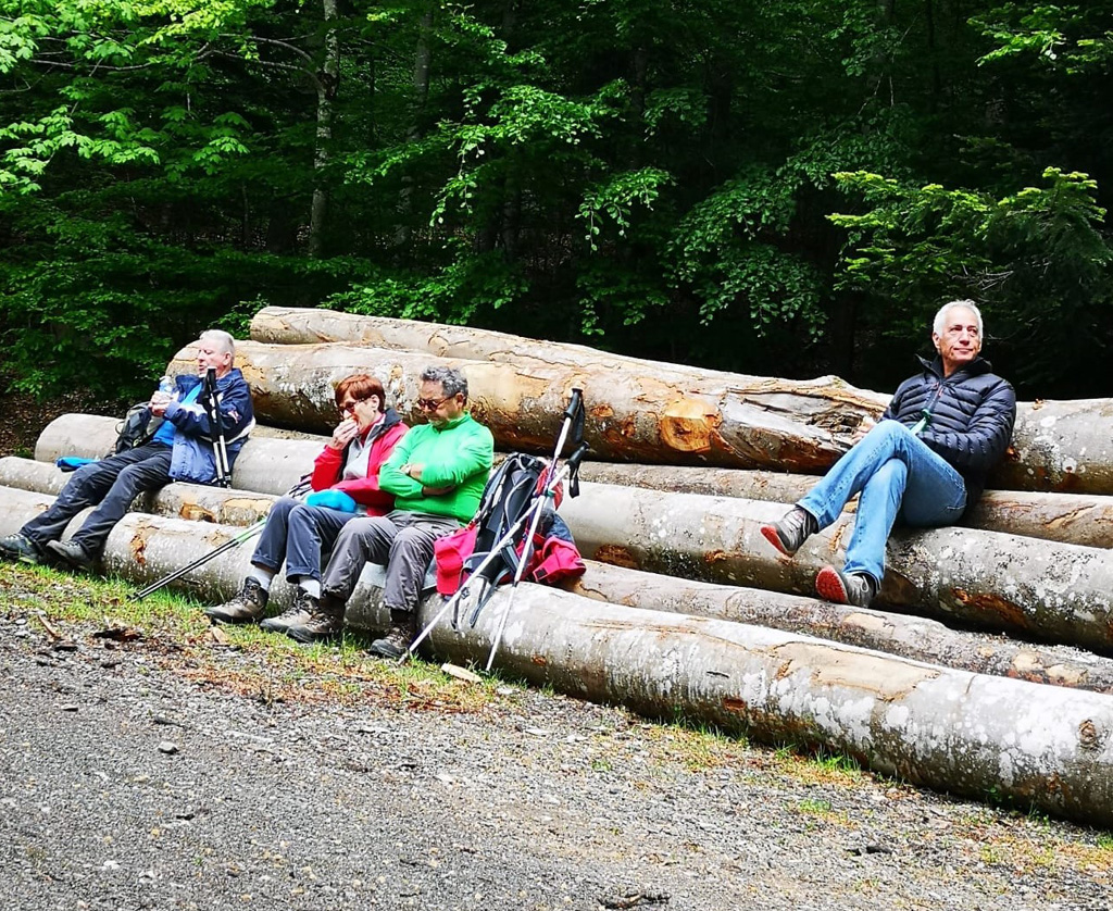 2026 05 13 ranspach img14