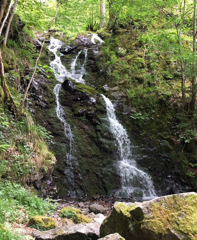 2026 05 13 ranspach img3
