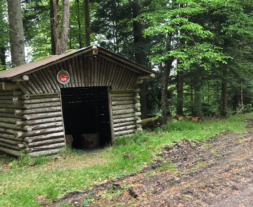 2026 05 13 ranspach img5