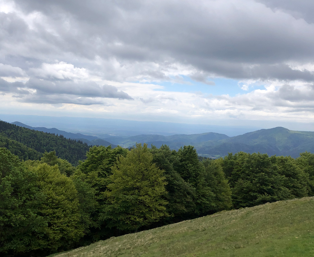2026 05 13 ranspach img8