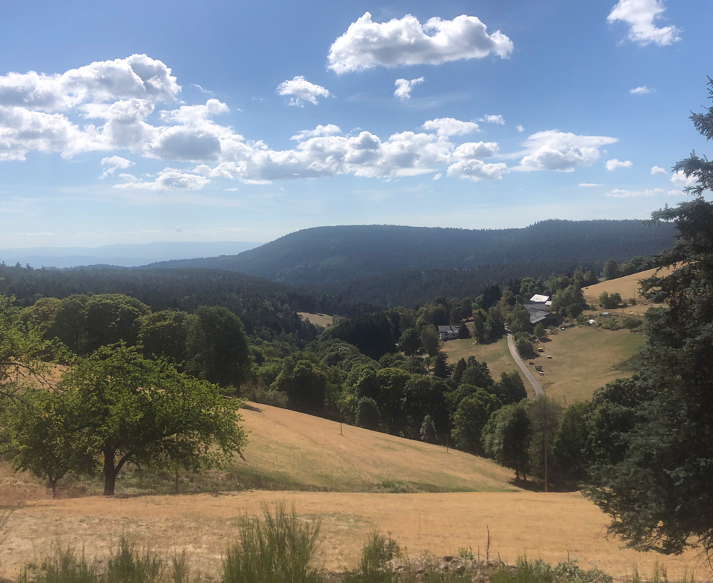 2026 08 19 aubure freland img3
