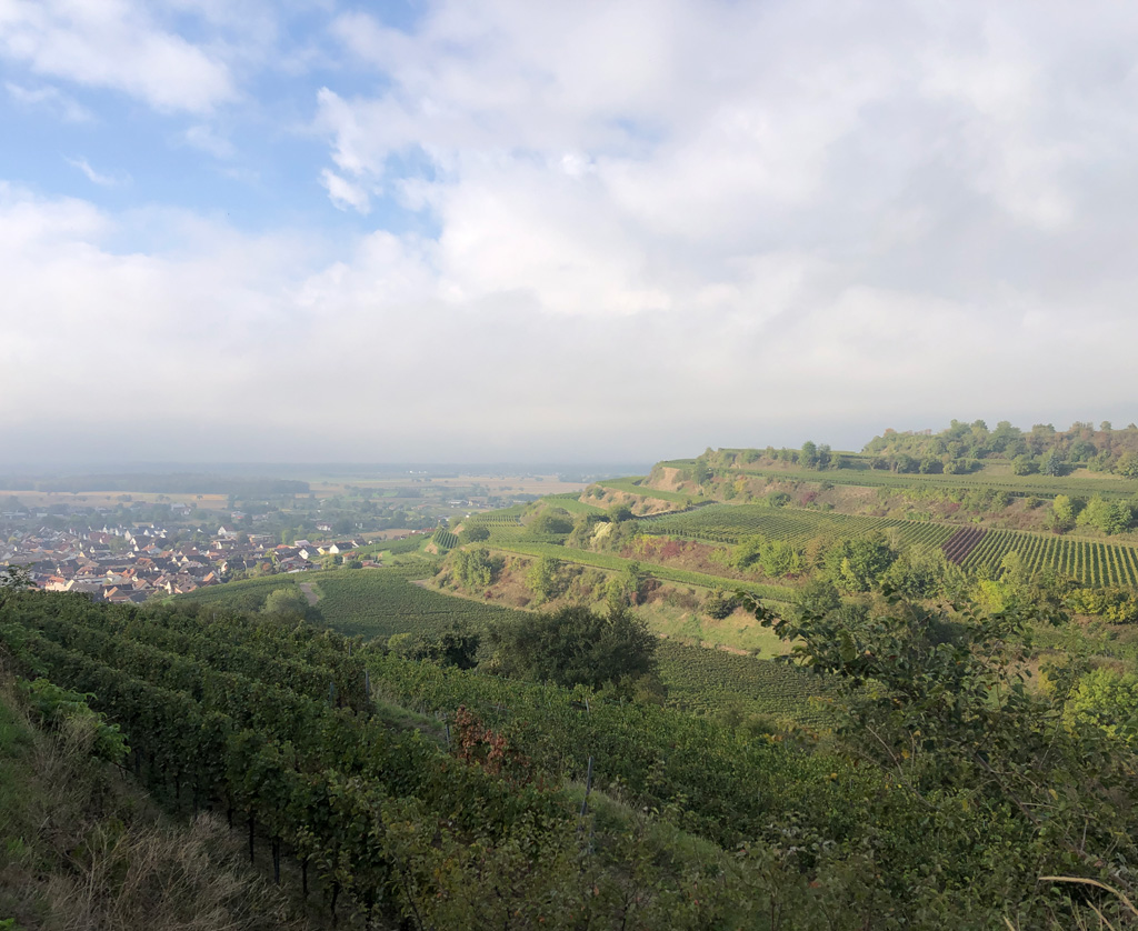 2026 10 14 kaiserstuhl img3