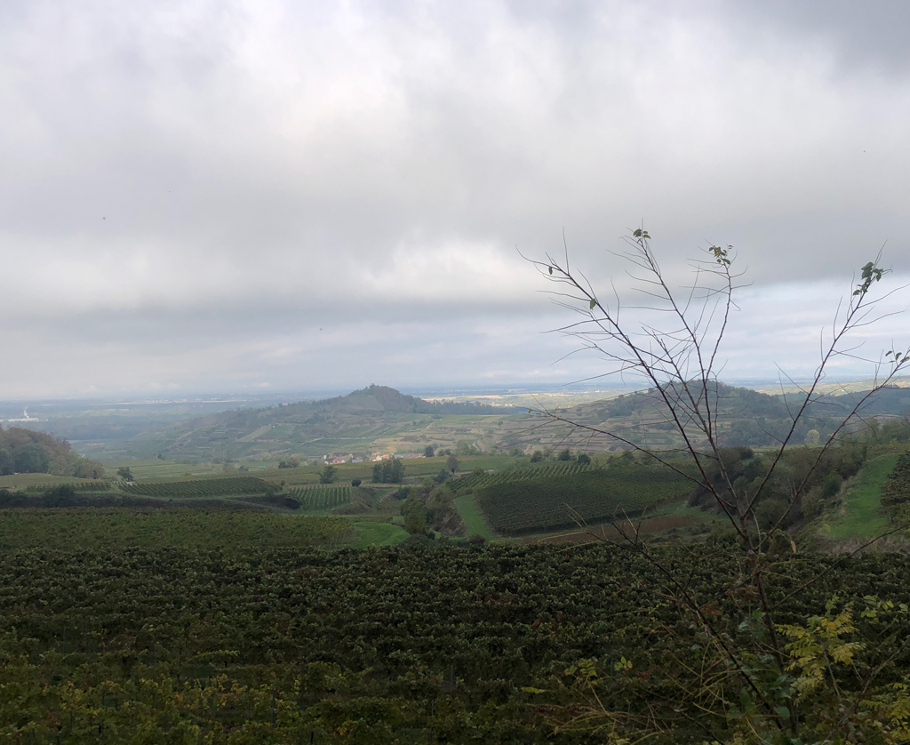 2026 10 14 kaiserstuhl img6
